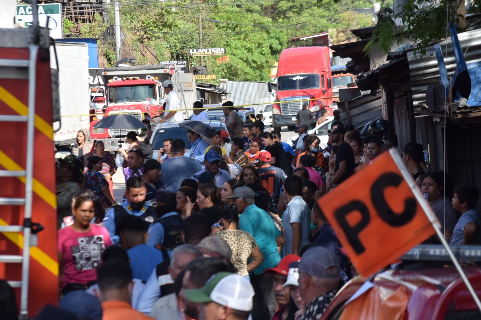 Imagen 7